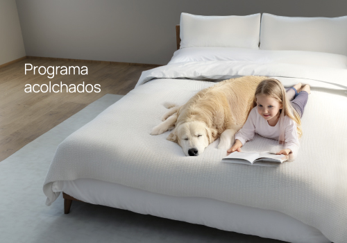 El mejor lavado para tus acolchados. El mejor lavado para tus acolchados.