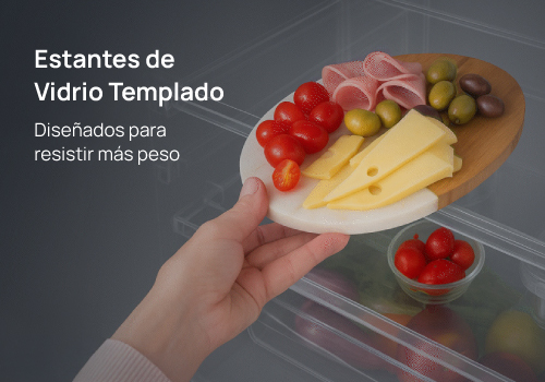 Máxima organización